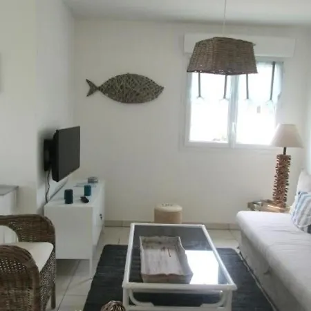 Apartamento Moderne A Pres Des Plages Avec Terrasse Et Parking - Fr-1-239-455 *